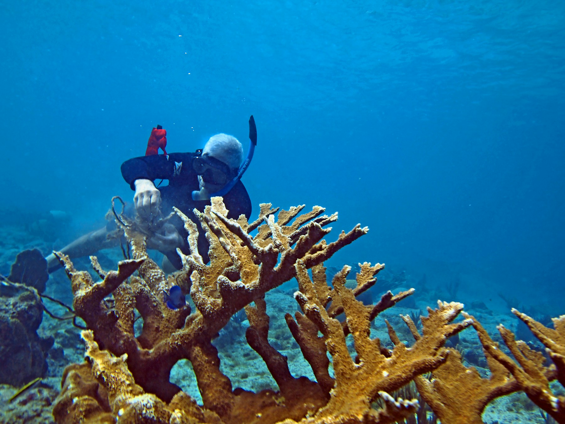 Ghost gear recovery in Cambodia coastal waters