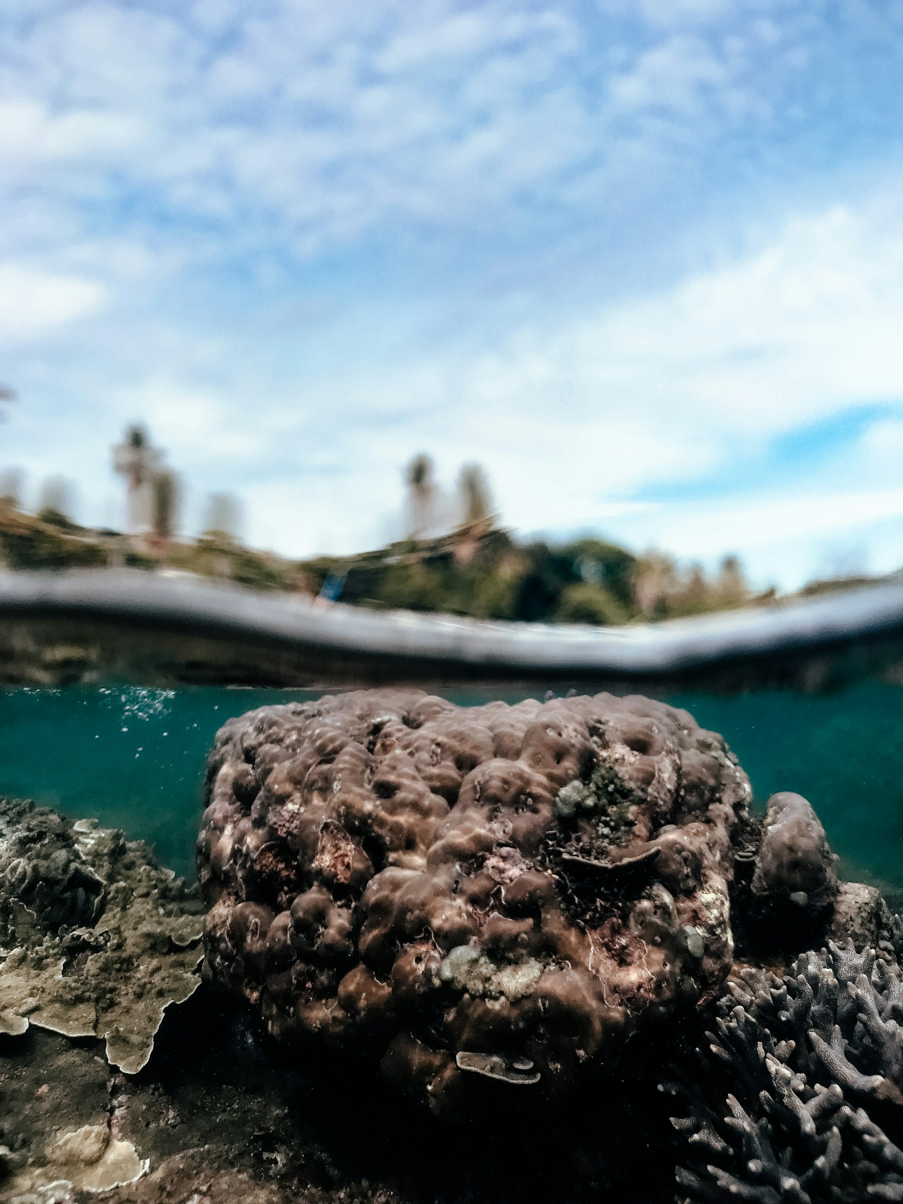 Marine conservation in Cambodia across reefs mangroves seagrass islands and coastal communities