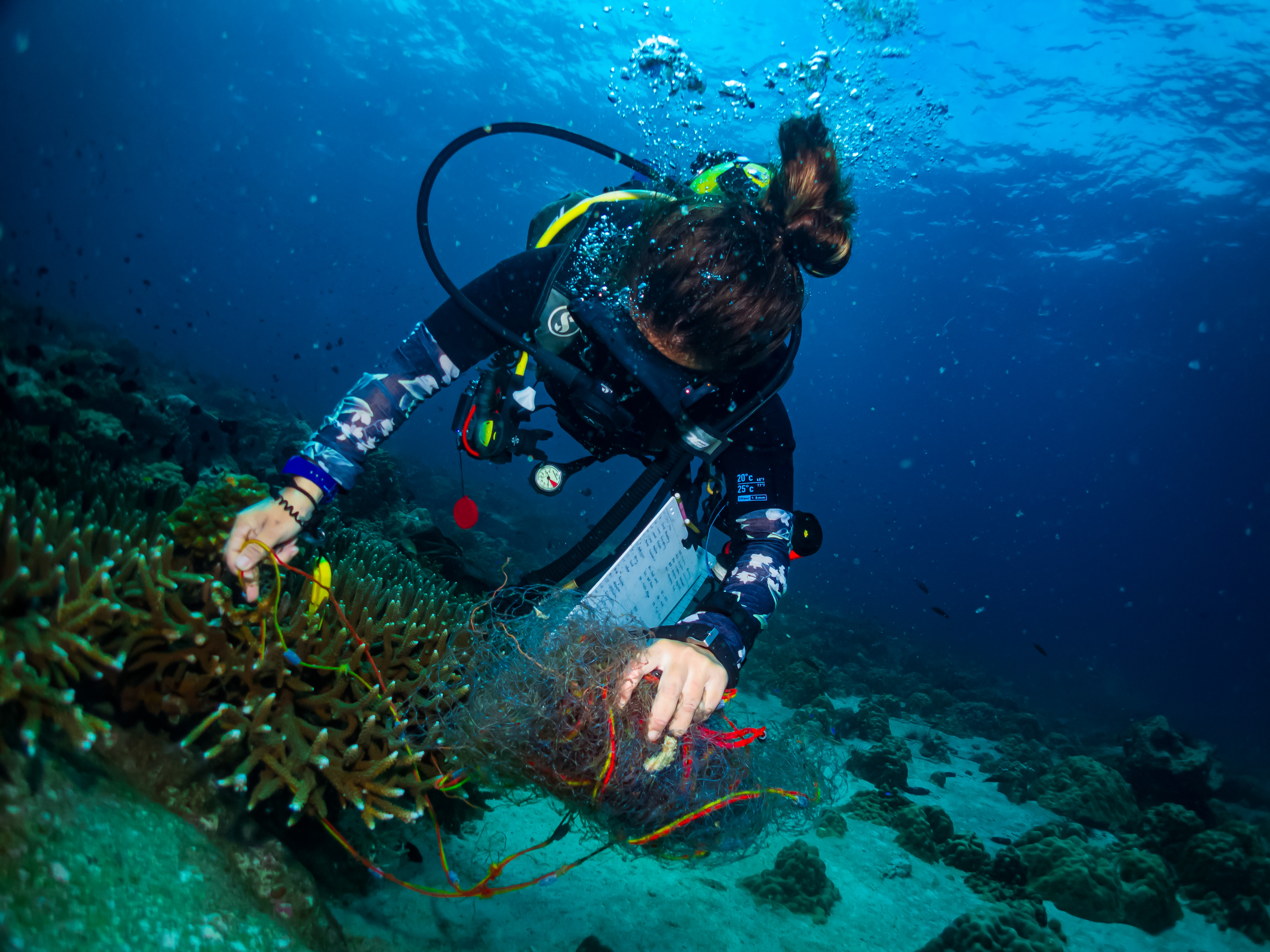 Abandoned fishing gear recovery and marine conservation response